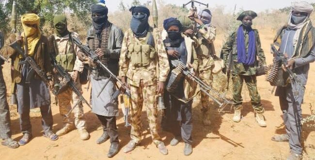 Suspected bandits kidnap doctor in Niger