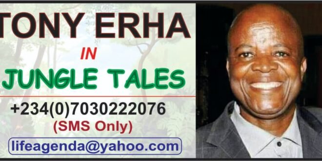 The slippery political terrain of Oredo Edo APC must not…- TheConclaveNg