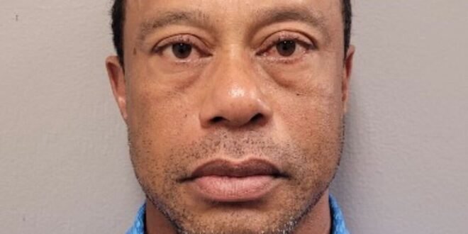 Tiger Woods ‘retreats for treatment’ after not guilty plea | US News