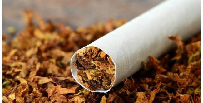 Tobacco Tax Policy: Group Presses FG on Health and Revenue Impact