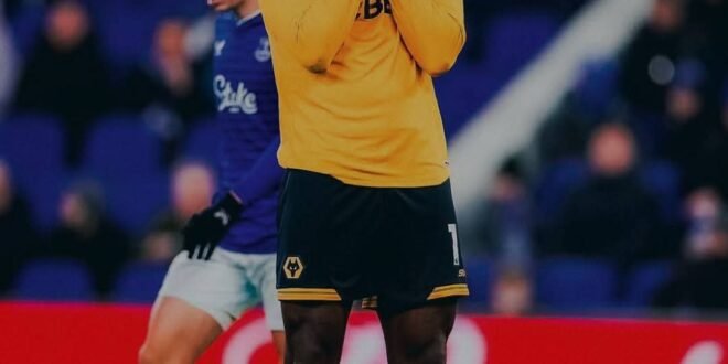 Tolu Arokodare signing described as ‘a disaster’ in Wolves recruitment report