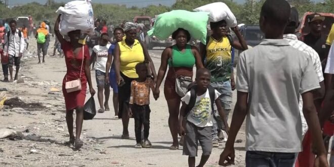 30,000 people flee renewed violence in Haiti as hunger crisis worsens