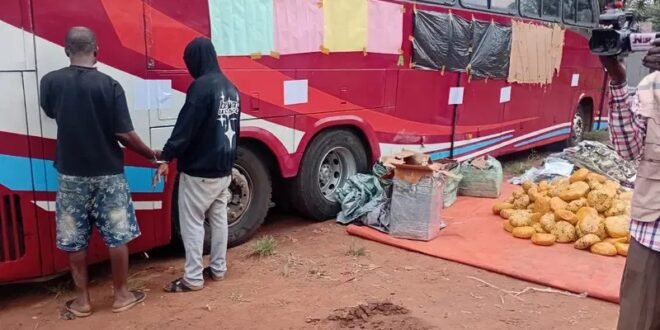 Customs intercepts bus loaded with military camouflage, cannabis worth ₦259.68 million in Ogun