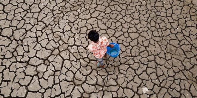 Global temperatures will remain near record levels: UN weather agency