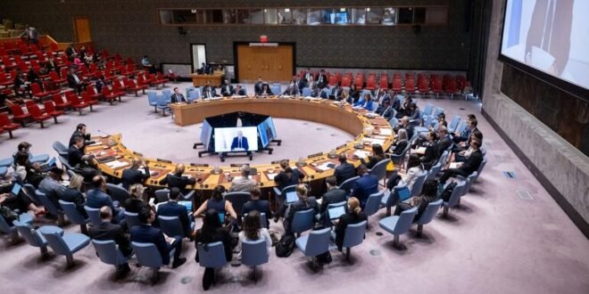 LIVE: Security Council meets on Syria transition and humanitarian crisis