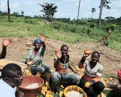 Liberia’s Cocoa Exports Surge by 54 Percent