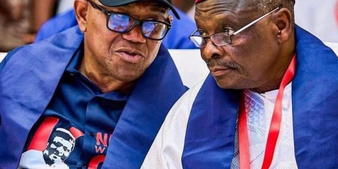 NDC: Peter Obi emerges as sole presidential aspirant