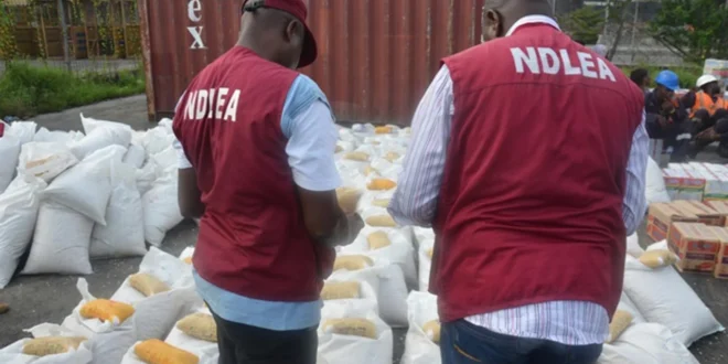 NDLEA dismantles ₦480 billion forest drug lab in Ogun, arrests Mexican and Nigerian syndicate members