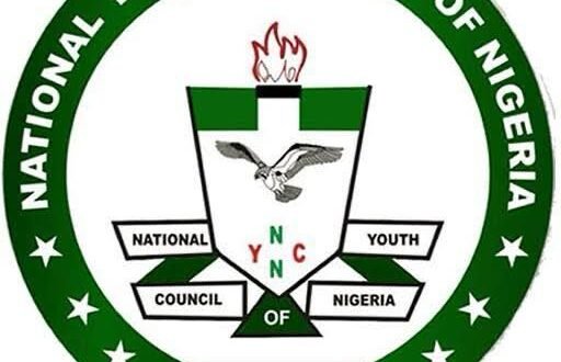 NYCN commends APC for “peaceful and youth-friendly” primaries in Imo