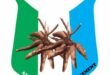 Official: Olajide joins APM – Blueprint Newspapers Limited