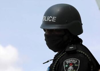 Police arrest 2 persons for interstate kidnapping and armed robbery in Enugu