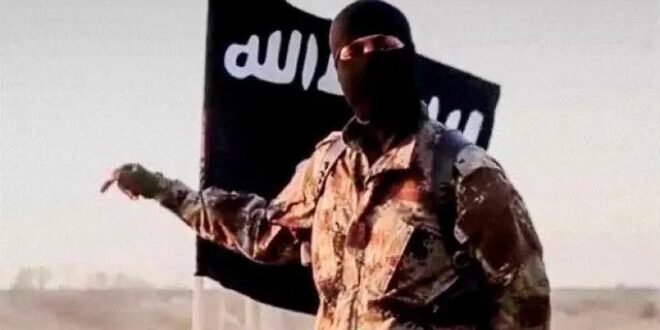 Presidency confirms ISIS killing. leader in US-Nigeria military operations