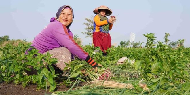 ‘Real impact on the ground’ is needed along with Indonesia’s support for UN reform