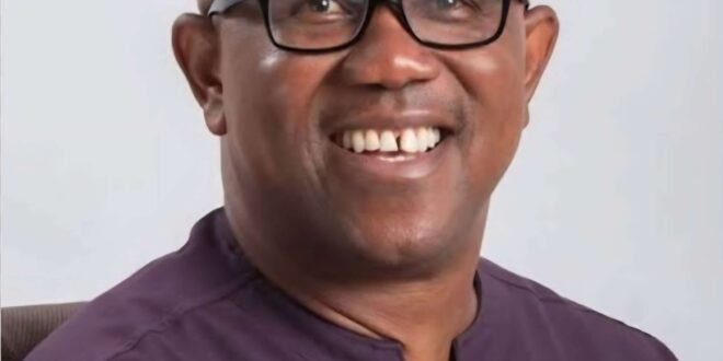 2027: “4,000 MW for 200 million people is shameful” — Peter Obi…