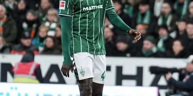 Bayer Leverkusen: new Super Eagles defender enters, Boniface leaves