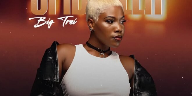 Big Trei – Umbrella – Six9ja