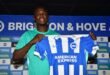 Brighton beats Man City and Chelsea to secure the signing of the Nigerian “Wonder Boy”