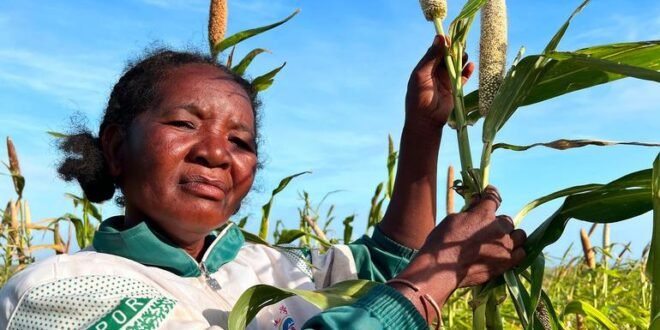 Climate shocks are accelerating as the threat of El Niño threatens already vulnerable regions