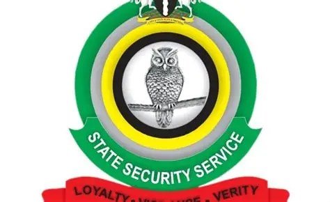 DSS rejects foreign funding for proposed security trust fund, warning of national security risks