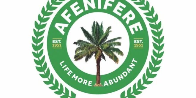 Democracy is under siege as Afenifere raises concerns over rising insecurity