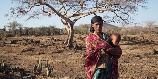 El Niño is certain to trigger more extreme weather, the WMO said