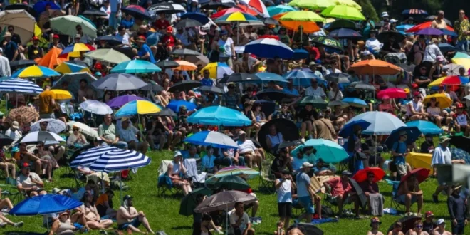 Europe is sweltering as Germany, Denmark, Czech Republic break all-time heat records