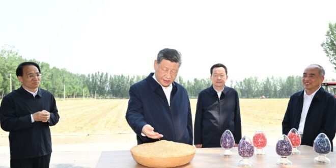 Focus Xi: Xi calls for concrete measures to modernize agriculture and rural areas