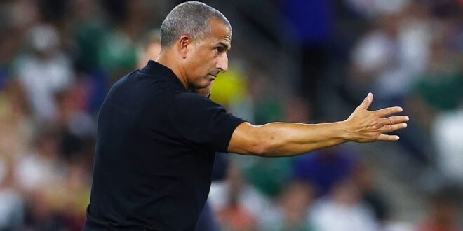 Lamouchi fired by Tunisia after Sweden’s tough defeat