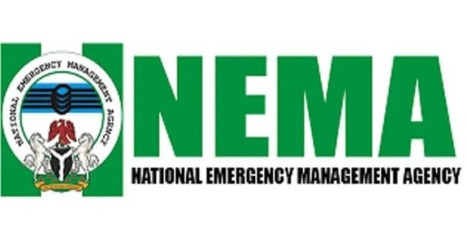 NEMA welcomes 123 Nigerians repatriated from Algeria
