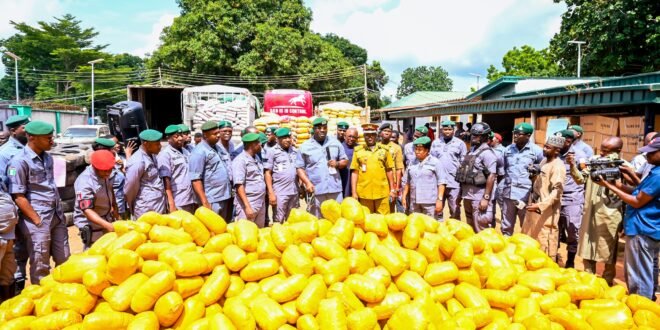 Ogun Customs Rakes in $259 Million, Records Revenue Increase of 238%, Seizes $4.6 Billion in Contraband