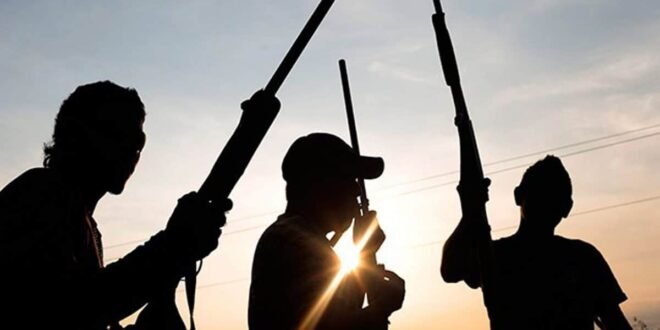 Police and army lost 282 rifles to terrorists and bandits in five years – Report