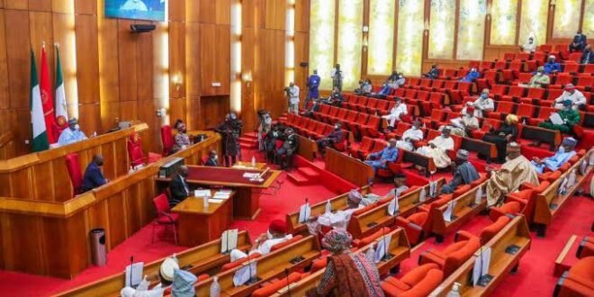 Senate Approves State Police Bill and Constitutional Framework for Decentralized Policing – THIS UPDATE