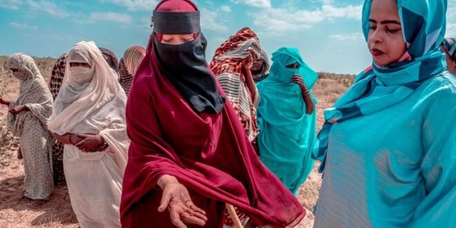 ‘Stop this madness’: Human Rights Chief warns of atrocities as militias approach El Obeid, Sudan