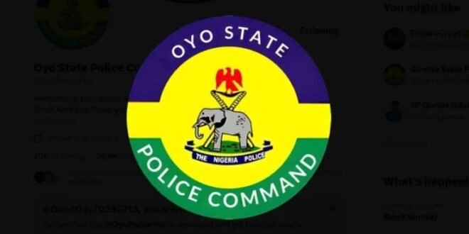 The Oyo Police has unveiled five suspects during in-depth investigations into alleged weapons caches