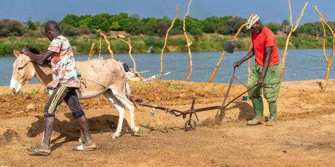 The conflict in the Middle East makes developing countries have to bear the consequences