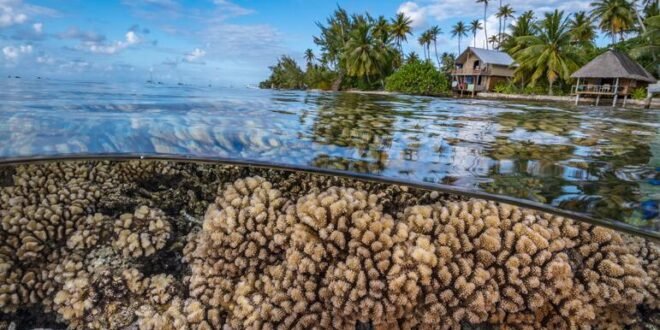The future of humanity depends on protecting our rapidly changing oceans