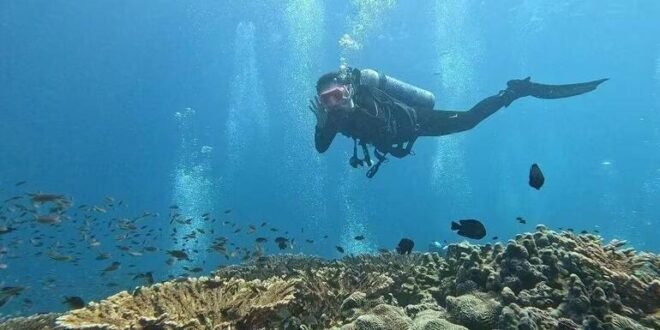 ‘The ocean has no boundaries’: Beauty and life in a war zone