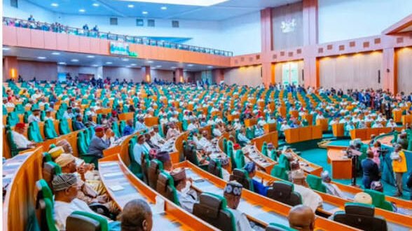 2027 Elections: Participate to Shape Nigeria’s Democracy, Representatives Urge Youths