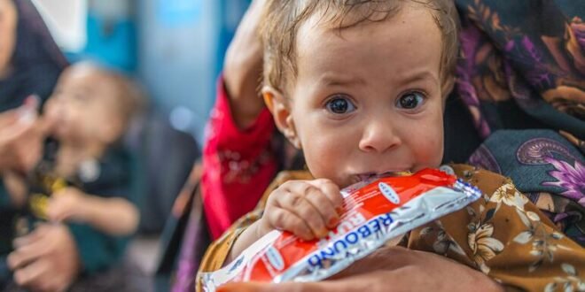Afghanistan: 3.7 million young people are at risk of malnutrition, UNICEF warns