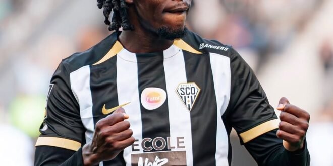 Chelle continues to push for the Ligue 1 teenager to play for the Super Eagles