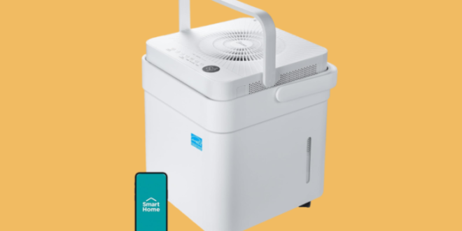 Curator: Your guide to mold & mildew prevention & protection – National