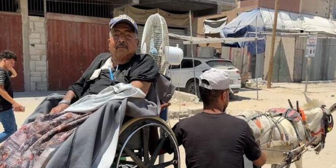 Gaza: Dialysis patients face grueling hospital journeys on donkey carts