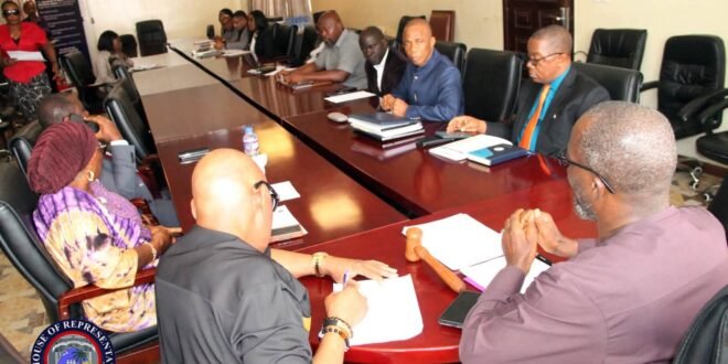 House Panel Ends Hearing on Mining Law