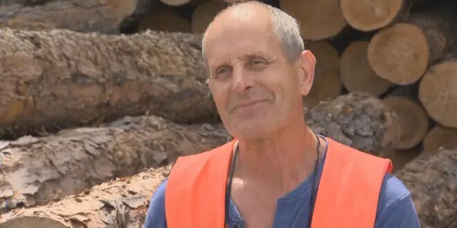 Manitoba’s logging industry threatened amid raging wildfires – Winnipeg
