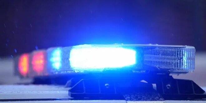 Missing cat leads to extortion charges against neighbors: Winnipeg police – Winnipeg