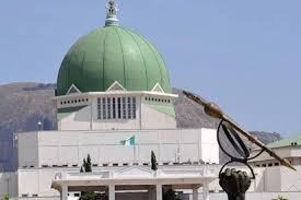NASS Open Week 2026: IRIAD supports women and people with disabilities on special places bill