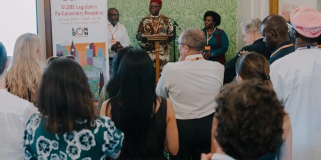 Nigeria’s $350 billion green bet: Why climate control investments are emerging as the next economic frontier