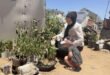 Reviving door-to-door communities in Gaza