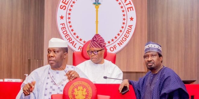 Senate to meet Tinubu over killings, kidnappings and more