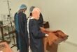 Sudanese people targeted by ‘relentless’ drone attacks in El Obeid